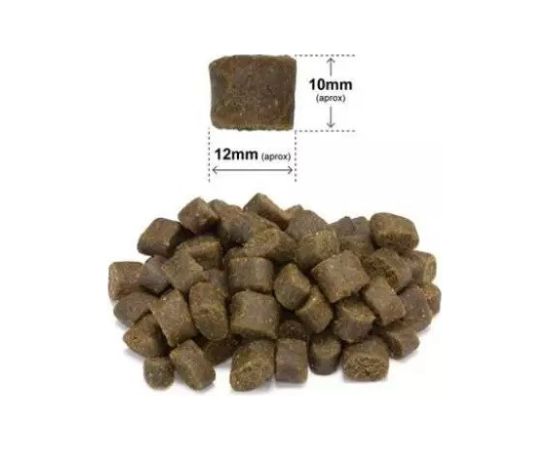ARQUIVET Fresh Salmon with turkey - semi-moist dog food - 2,5 kg