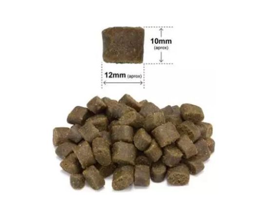 ARQUIVET Fresh Duck with ocean fish - semi-moist dog food - 2,5 kg