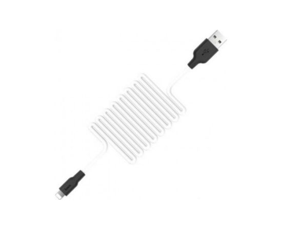 Hoco   X21 Silicone iP charging cable Black White