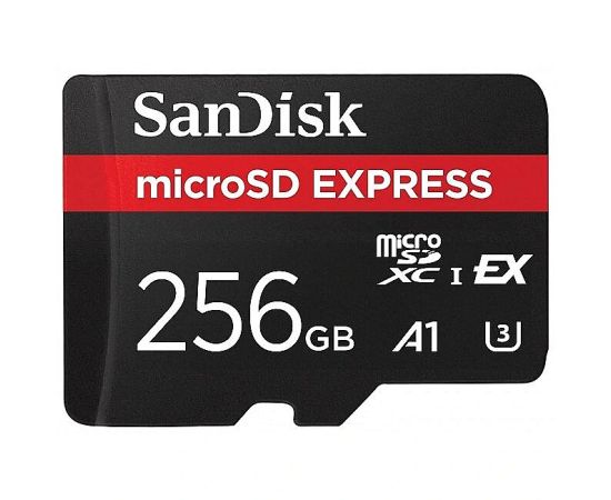 MEMORY MICRO SDXC 256GB UHS-I/SDSQXFN-256G-GN4NN SANDISK