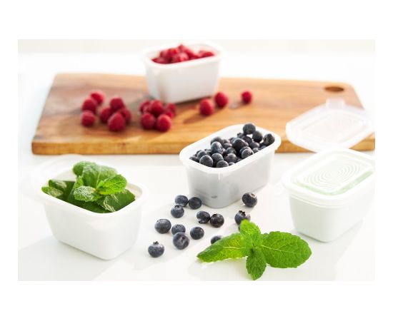 ROTHO Freeze - freezer container - 4x500ml