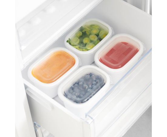 ROTHO Freeze - freezer container - 4x500ml