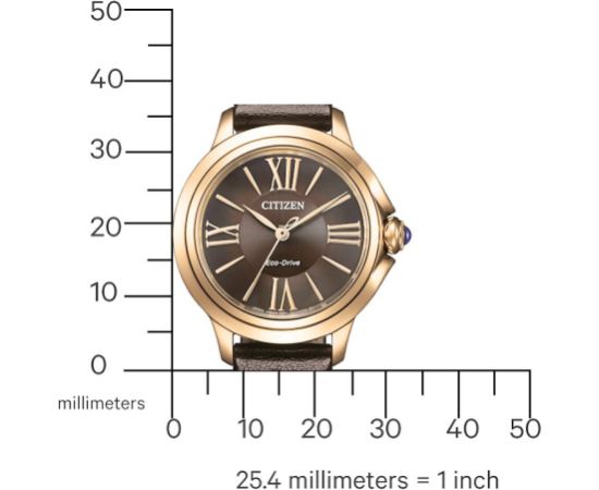 Citizen Eco-Drive EM1163-09X