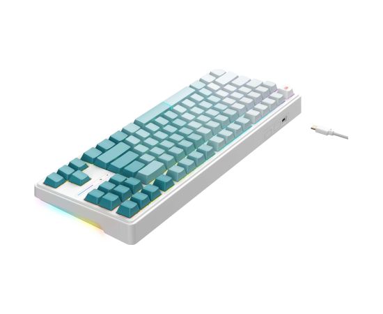 Havit KB901L - gaming keyboard (white and green)