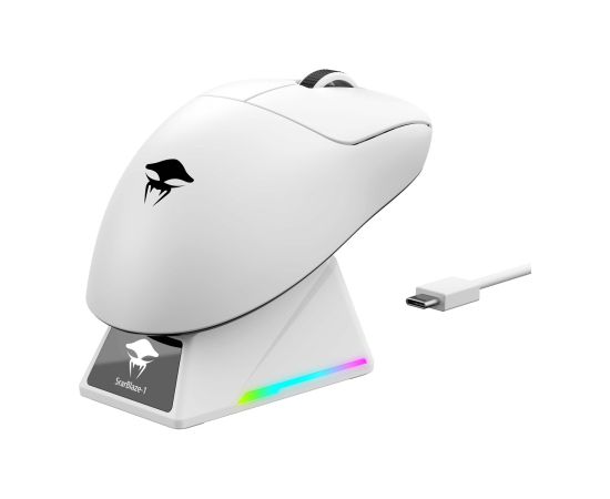Havit StarBlaze-1 - gaming mouse (black and white)