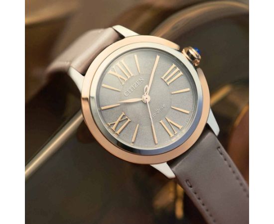 Citizen Eco-Drive EM1166-01Z