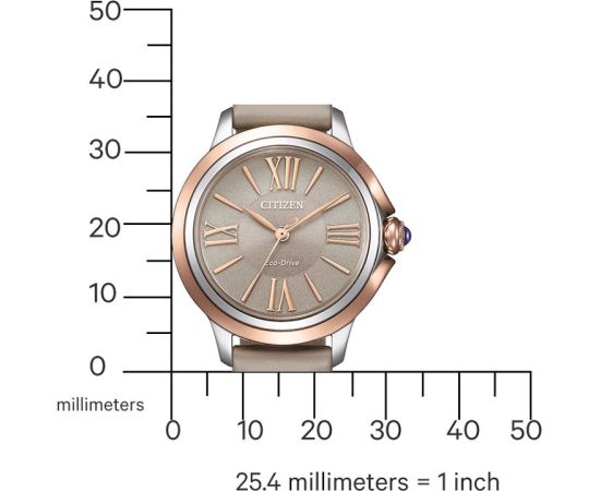 Citizen Eco-Drive EM1166-01Z