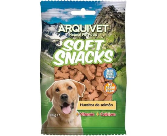 ARQUIVET Welcome box for a dog
