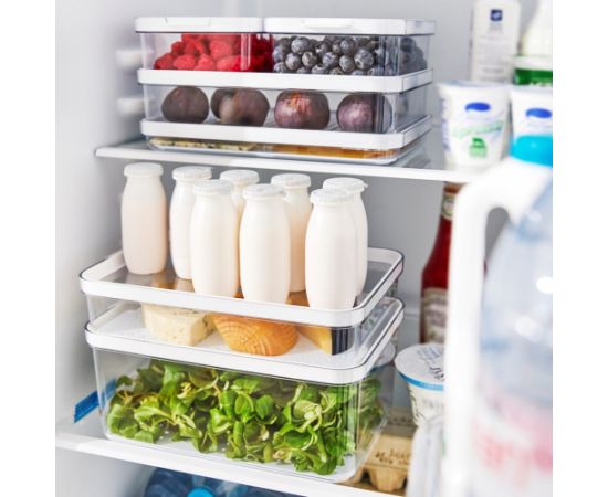 ROTHO Rondo Cauma - food storage container - 1,2l