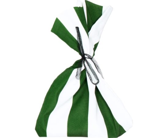 Dārza siltumnīca Springos GT0001 4 m2 (2x2x2 m)