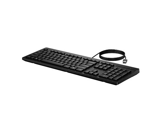 HP 125 G2 USB Wired Keyboard, Sanitizable, Copilot Key - Black - US ENG / AY2Y7AA#ABB