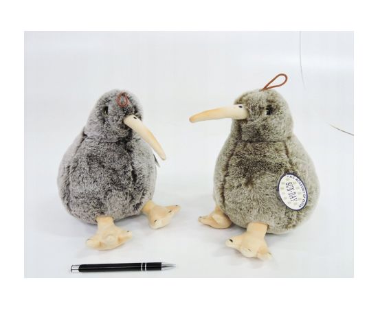Sun Day Ptak P-3291 Kiwi 2kol 23cm 166777