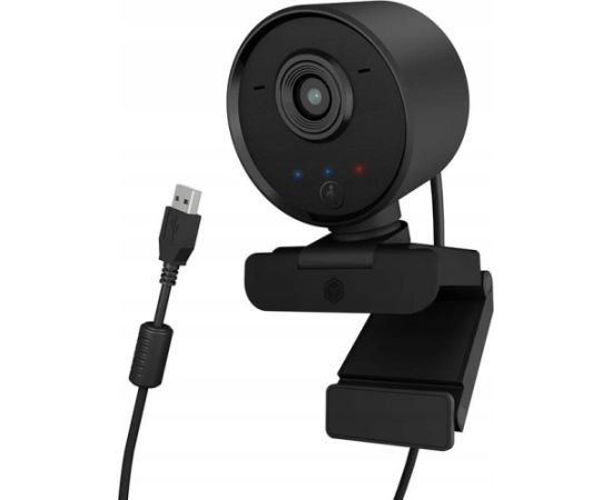 Raidsonic IcyBox Full-HD Webcam IB-CAM502-HD