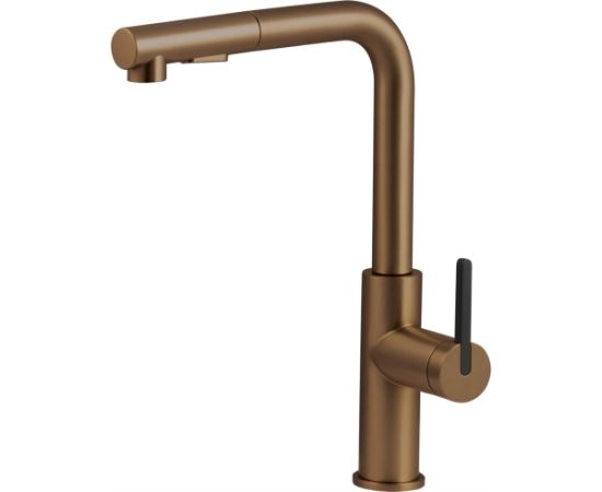 Deante Kitchen faucet with pull-out spout