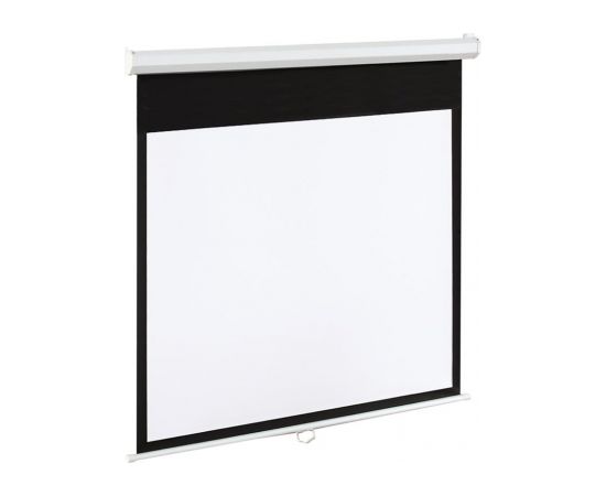 ART Display Electric EM-84 4:3 84'' 170x127cm matte white with remote control