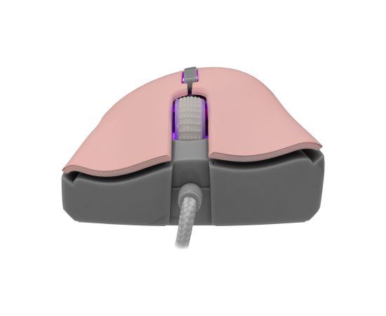 Baracuda BGM-084 Lobster Pink