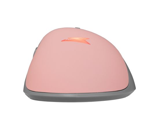 Baracuda BGM-084 Lobster Pink