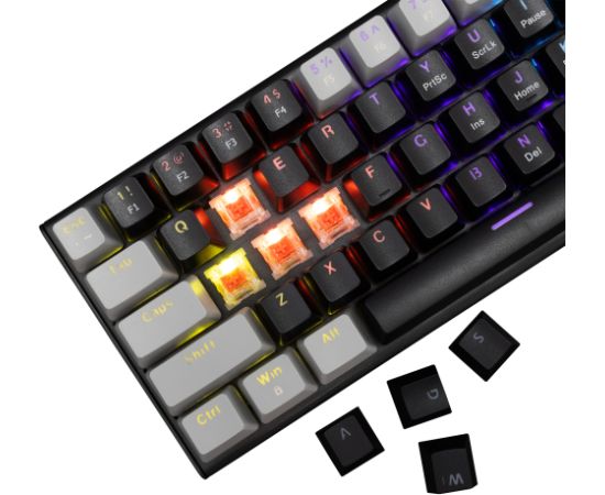 White Shark GK-002111V2  Wakizashi Black-Grey US Red Switches