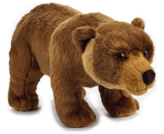 National Geographic Niedźwiedź Grizzly (003-70845)