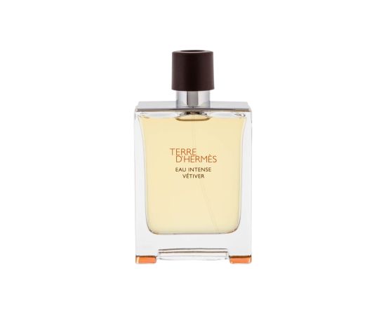 Terre d'Hermes / Eau Intense Vétiver 100ml