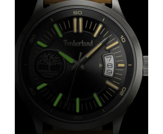 Timberland Trumbull TDWGB0041006
