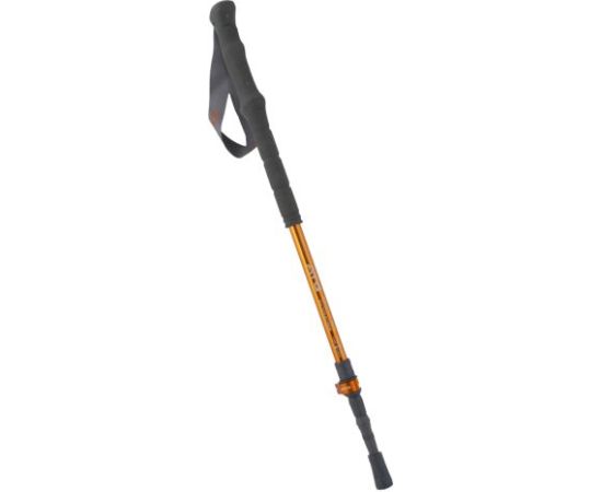 Pinguin Shock FL/TL Foam / Oranža / 63 - 135 cm Нордическая ходьба