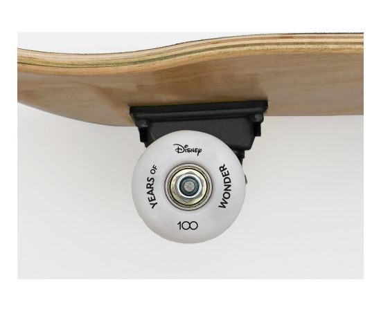 LIELS KOKA SKEITPĀRLĀDES D100 STITCH WILD ONE