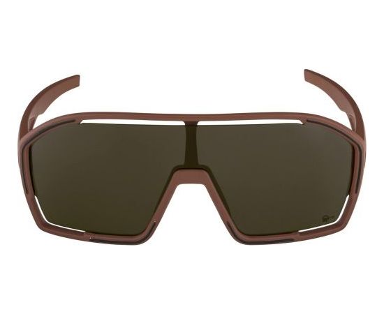 Alpina Sports Bonfire Q-Lite / Melna / Pelēka