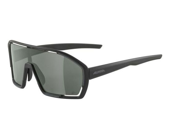Alpina Sports Bonfire Q-Lite / Melna / Pelēka
