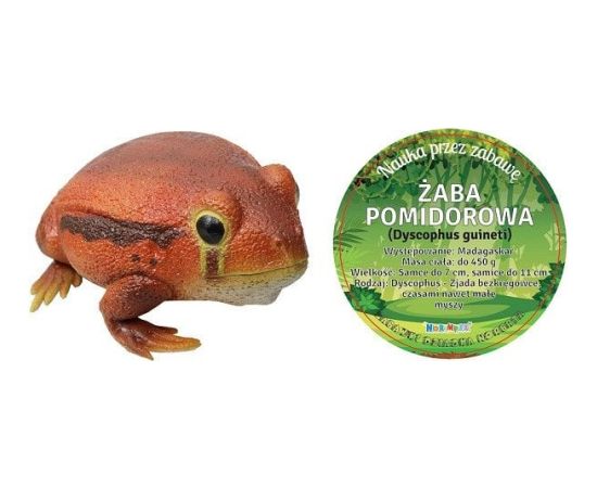 Colorovo *****Żaba pomidorowa 27cm 21484 14840****