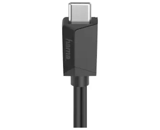 Hama USB-C uz DisplayPort kabelis 4K Ultra HD 1.5m