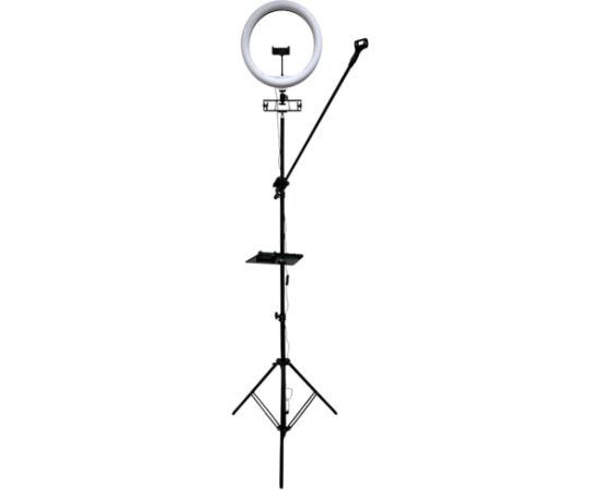 iLike S14 LED 30W Selfie 36cm Gredzenveida Gaisma + Statīvs 2.1m + Plaukts & 3x tālruņa / Mikrofona Turētājs Melns