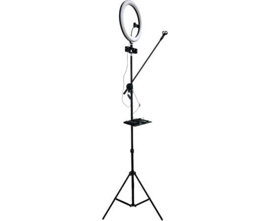 iLike S14 LED 30W Selfie 36cm Gredzenveida Gaisma + Statīvs 2.1m + Plaukts & 3x tālruņa / Mikrofona Turētājs Melns