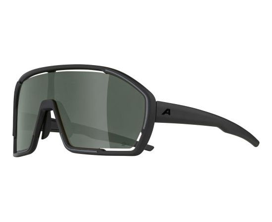 Alpina Sports Bonfire Q-Lite / Pelēka / Zaļa
