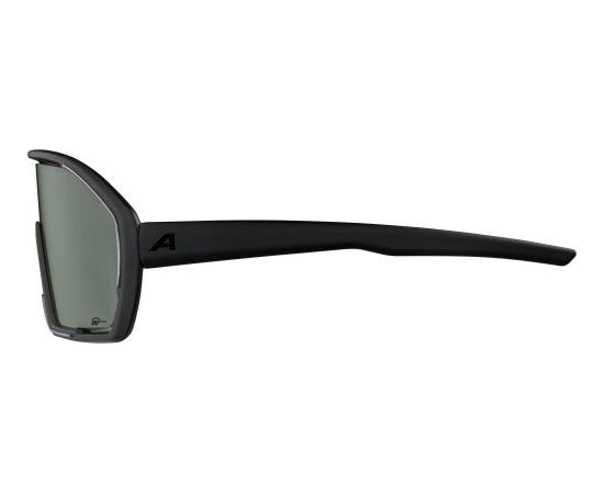 Alpina Sports Bonfire Q-Lite / Pelēka / Zaļa