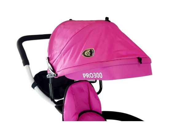 Leantoys Tricycle PRO300 Pink