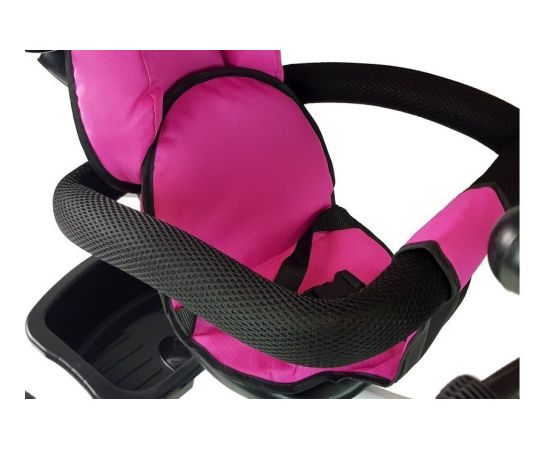 Leantoys Tricycle PRO300 Pink