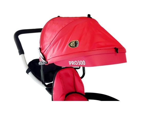 Leantoys Tricycle PRO300 Red