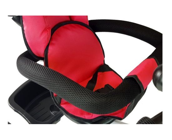Leantoys Tricycle PRO300 Red