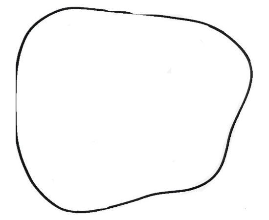 Main cavity seal ring 1 X5, Sunseeker