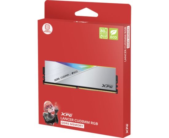 ADATA DDR5 - 48GB - 8400 - CL - 40 (2x 24 GB) Dual Kit, RAM silver, AX5CU8400C4024G-DCLACRSG, XPG Lancer Neon RGB