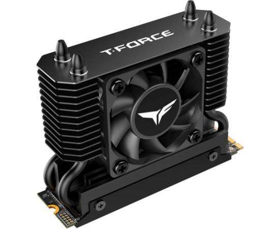 Team Group T-Force GE Pro 4 TB (black/gold, PCIe 5.0 x4 | M.2 2280 | AirFlow I heatsink)