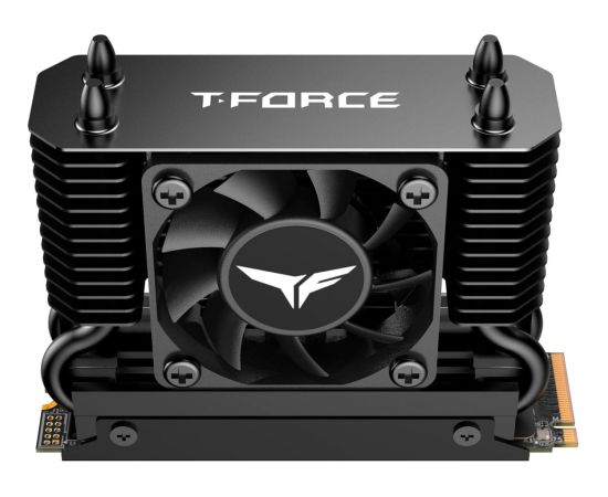 Team Group T-Force GE Pro 4 TB (black/gold, PCIe 5.0 x4 | M.2 2280 | AirFlow I heatsink)
