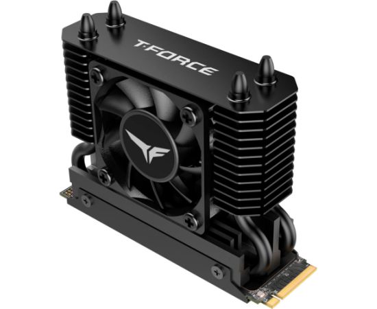 Team Group T-Force GE Pro 4 TB (black/gold, PCIe 5.0 x4 | M.2 2280 | AirFlow I heatsink)