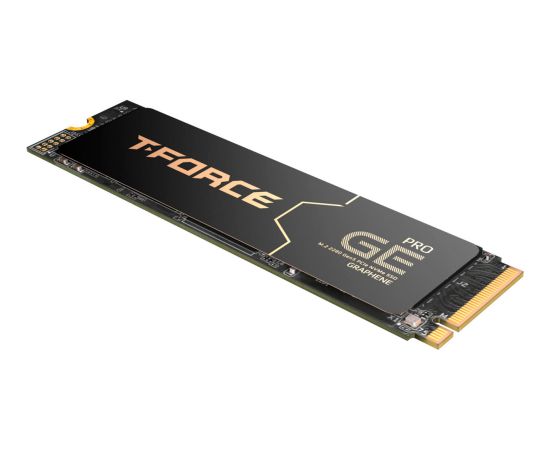 Team Group T-Force GE Pro 2 TB (black/gold, PCIe 5.0 x4 | M.2 2280 | AirFlow I heatsink)