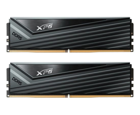 ADATA DDR5 - 32GB - 6400 - CL - 32 (2x 16 GB) dual kit (grey, AX5U6400C3216G-DCCAGY, XPG Caster, INTEL XMP)