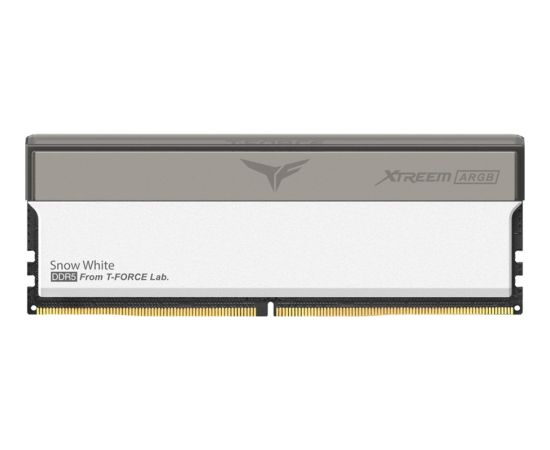 Team Group DDR5 - 32GB - 8000 - CL - 38 (2x 16 GB) dual kit (white, FFAD532G8000HC38DDC01, XTREEM ARGB, INTEL XMP, AMD EXPO)