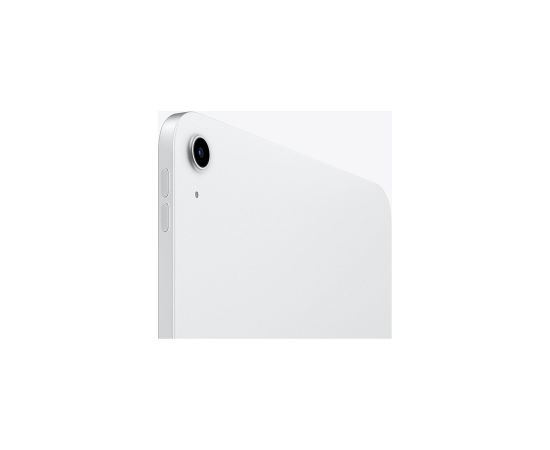 Apple iPad 11"" (256GB) (silver, 11th Gen / 2025 / 5G)