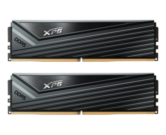 ADATA DDR4 - 32GB -6000 - CL - 30 (2x 16 GB) dual kit, memory (grey, AX5U6000C3016G-DCCAGY, XPG Caster, INTEL XMP)