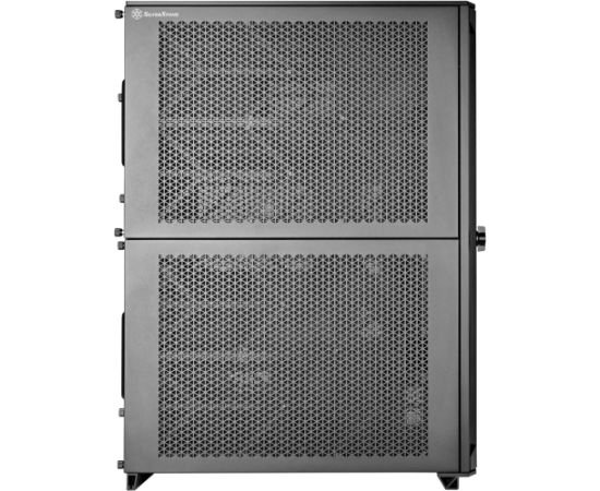 Silverstone Technology ALTA D1 (black)